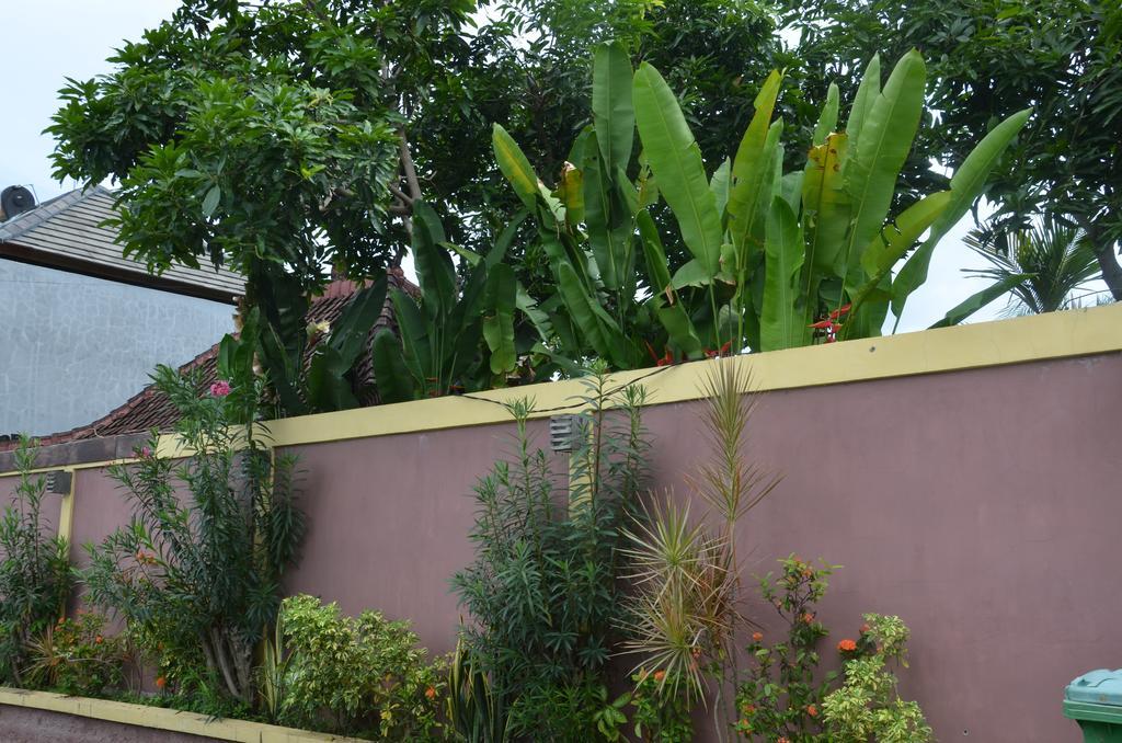 Villa Eva Canggu Екстериор снимка