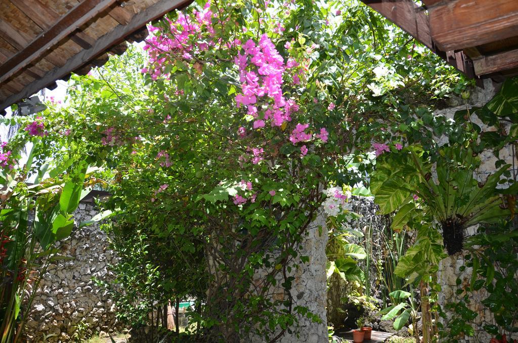 Villa Eva Canggu Екстериор снимка